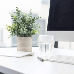 Coferset 2 Pack Small Fake Plants Eucalyptus Potted Artificial Plants for Shelf Desk Home Bathroom Farmhouse Room Coffee Table Decor (Sage Green) - Image 6