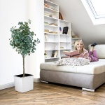 Meneco Potted Artificial plant Plant – 5ft Tall Fake Plant Large Faux plant Indoor Home Decor Fake Floor Plant in Pot (60”, Eucalyptus) - Image 7