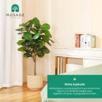 MOSADE Artificial Fiddle Leaf Fig Tree 50" Fake Potted Ficus Lyrata Plant with Handmade Seagrass Basket, Perfect Faux Plants Home Décor for Indoor Outdoor Office Porch Balcony Bedroom Bathroom Gift - Image 5