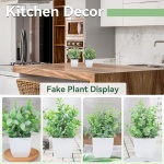 Der Rose 4 Packs Fake Plants Mini Artificial Greenery Potted Plants for Home Decor Indoor Office Table Room Farmhouse - Image 5